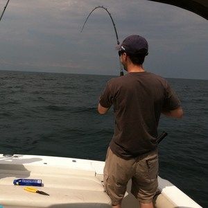 Meet your Posher, Chris